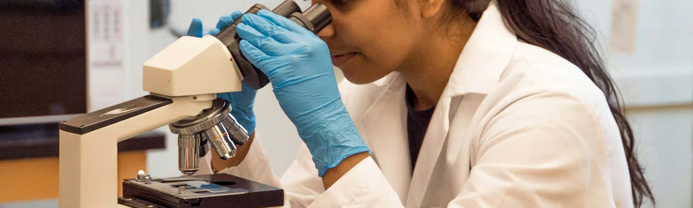 Researchers working in Molecular & Cell Biology